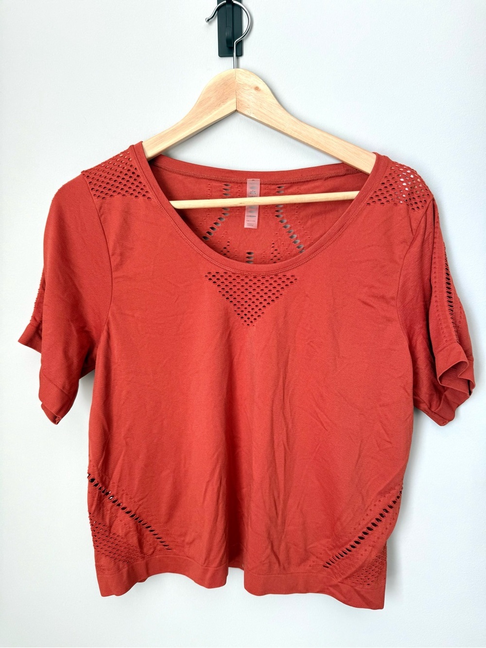 Women’s Short Sleeve Scoop Neck Active Workout Yoga Cropped Top in Rust L/XL
